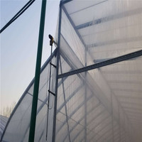 Serre pour légumes avec couverture en film, système de refroidissement et d'ombrage automatique, structure en acier galvanisé à chaud, marque Zhuotai