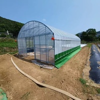Enkelspannings landbouwkassen en landbouwtunnels van PE-plasticfolie, kweektenten, tomatenkassen te koop
