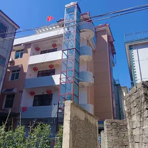 Cina produzione ascensori residenziali miglior prezzo casa Villa ascensore elettrico verticale piccolo Mini ascensore per sedie a rotelle
