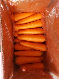 Vente en gros Carottes fraîches pour Utilisation alimentaire - Product Image 5