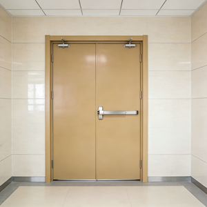 Porte d'hôpital en acier certifiée UL BS, résistante au feu pendant 60 minutes, insonorisée, étanche aux intempéries, fabrication en usine depuis 36 ans, ODM/OEM - Product Image 1