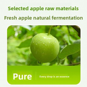 Nhà máy sản xuất đồ uống OEM/ODM, xe tải nhẹ, ít calo, ít chất béo, anh hùng giảm mỡ, nước ép táo 500ml - Product Image 3