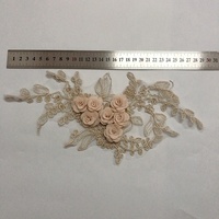 Tendance Beige 3d Fleur Dentelle Applique Couture Patch pour Designer Tailleur LT2352A