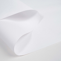 Toile en polyester semi-brillante 260GSM compatible avec Epson, Canon, HP pour impression jet d'encre, toile d'art décorative
