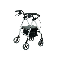 Appareils d'aide à la marche pour personnes âgées, chariots et chariots de courses vendus par l'usine, adaptés aux personnes âgées
