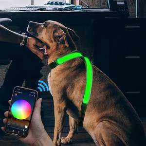 CD1118 APP için LED ışık dostu bez orta ölçekli köpek koşum lüks spor stil Golden Retriever <span class=keywords><strong>Training</strong></span> eğitim - Product Image 5
