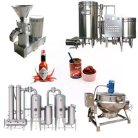 Complete op maat gemaakte groente- en fruitverwerkingslijn, tomaten sap/saus/pulp productiefabriek, Omate/tomat verwerkingsmachine