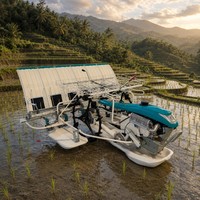 Transplanteuses de riz manuelles OEM ODM 7-17 mm à profondeur de plantation longitudinale de 5 positions pour rizières en eau profonde avec ajustement libre