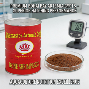 Prix de gros usine Qualité supérieure Bohai bbs Cystes d'artémia Œufs de crevettes de saumure Aliment pour poissons riche en protéines Vitamines Minéraux Tout-en-un - Product Image 2