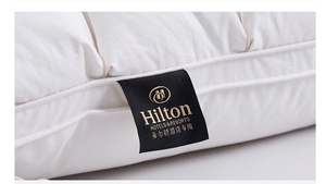 Oreiller de luxe Hilton 48x74cm en gros, oreiller en duvet de <span class=keywords><strong>Paris</strong></span> Bread Grid Hilton, 1000g - Product Image 4