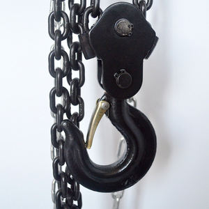 Kualitas tinggi 1/2/3/5 Ton Chain Block <span class=keywords><strong>Hoist</strong></span> Harga Bersaing dari pemasok Cina - Product Image 5