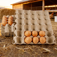 Échantillon gratuit de barquette d'emballage pour œufs en carton biodégradable jetable à vendre, barquettes pour œufs de poule