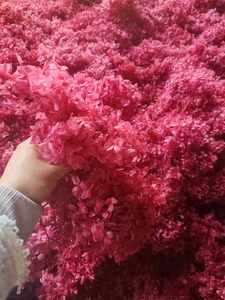 1 kg de Fragmentos de Hortensia <span class=keywords><strong>Annabelle</strong></span> Preservados de Grado AB, Cabezas de Hortensia Anna, Pétalos, Material de Larga Duración, Navidad, Año Nuevo - Product Image 4