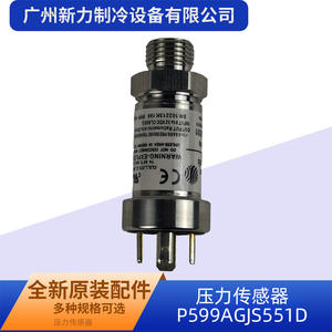 Sensor de Presión de Calibre Diferente P599AGJS551D con Montaje Roscado y Tecnología Piezoresistiva - Product Image 4