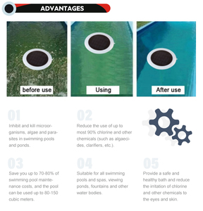Purificateur de piscine extérieur à énergie solaire, ioniseur d'argent et de cuivre, filtre à eau avec débit de 100 GPD et garantie d'un an - Product Image 5