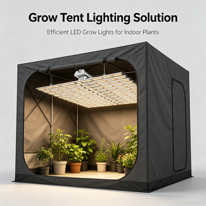 Lámpara LED de Cultivo de Espectro Completo Gavita Pro 1700e de 12 Barras, 660W, 720W, 1000W, 2000W, para Plantas, de Fábrica China <span class=keywords><strong>LUX</strong></span> - Product Image 2