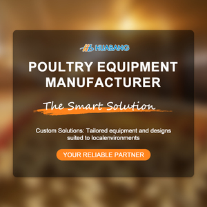 Nuovo sistema automatico di polli da allevamento per pollame/alimentatore di pentole/alimentazione di pollame/linea di alimentazione del pollame - Product Image 6