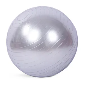 Wholesale Customized 55cm 65cm Yoga Ball Exercise Inflatable Soft Fitness Ball