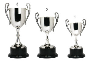 Premios al Primer Lugar en Torneos Deportivos, Competiciones, Copa de Trofeo Grande Plateada - Product Image 3