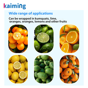 Machine d'emballage automatique pour oranges - Machine d'emballage sous <span class=keywords><strong>film</strong></span> pour citrons, oranges Navel, Ponkan, mandarines et agrumes - Product Image 3