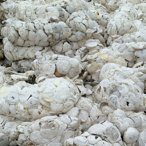 Latex de caoutchouc naturel 100% matériau naturel pour produit en caoutchouc fabriqué à partir du Vietnam de haute qualité - Product Image 1