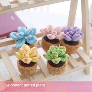 Kit de crochet fait main, jolies fleurs, cadeau de la Saint-Valentin, succulentes, crochet fait main, bouquet de fleurs éternelles, cadeau - Product Image 2