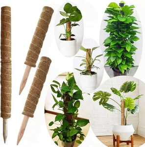 Piquets de soutien carrés en fibre de coco pour plantes <span class=keywords><strong>Monstera</strong></span>, pour plantes grimpantes en pot, intérieures et extérieures, pour la maison et le jardin - Product Image 5