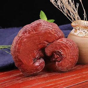 Trung Quốc quý các loại thảo mộc lỏng tư nhân labal Lucid <span class=keywords><strong>Ganoderma</strong></span> khô linh chi Nấm Hoang Dã phát triển tự nhiên thu hoạch - Product Image 5