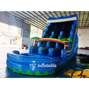 Tốt nhất người bán Inflatable cây cọ trượt nước cầu vồng Ngoài Trời Màu xanh đôi Lane trượt nước với hồ bơi cho sân chơi chơi - Product Image 1