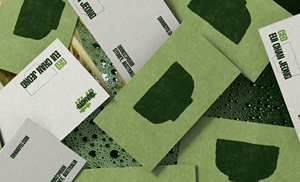 Cartes de <span class=keywords><strong>visite</strong></span> <span class=keywords><strong>écologique</strong></span>s vertes personnalisées imprimées avec logo Impression de haute qualité Emballage et services d'impression Cartes de remerciement Estate - Product Image 2