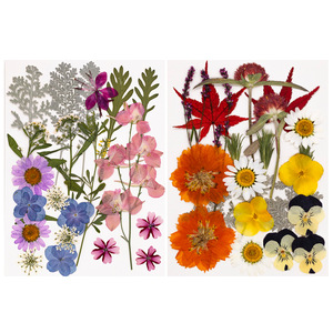 Lot de 20 à 23 packs de fleurs pressées <span class=keywords><strong>Firefly</strong></span> Series DIY Art Crafts pour fabriquer des plantes naturelles écologiques - Product Image 1