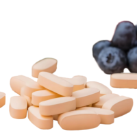 Fournisseur GMP de multivitamines pour femmes et hommes, vitamines pour soutenir l'immunité, plus probiotiques, multivitamines végétaliennes pour hommes et femmes, OEM