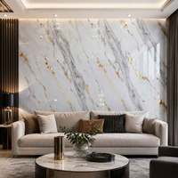 Revêtements muraux en PVC à motif marbré UV, design moderne imperméable pour hôtel, villa, salon et salle de sport, panneau décoratif d'intérieur