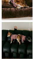 Pull pour chien personnalisé en laine mérinos, vêtements pour chien pour un cadeau mémorable, pull pour chien tricoté