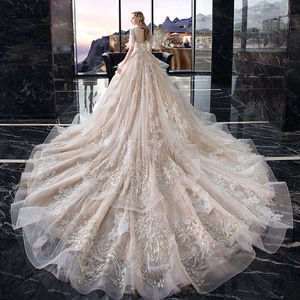 Champagne Wedding Dress Empire Waist V-Neck Lace Long Train Vintage Style Plus Size Bridal Gown - Product Image 2