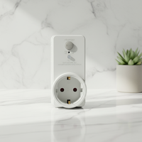 Prise intelligente RIFENG avec télécommande sans fil, prise EU, pour maison intelligente