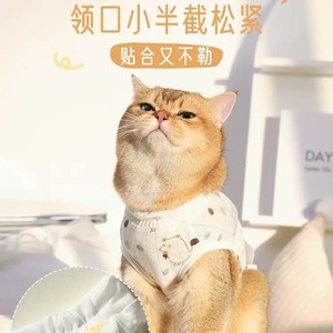 Trajes personalizados para la esterilización de gatos, batas quirúrgicas para gatas madre, trajes postoperatorios anti-lamido para gatos domésticos, y - Product Image 3