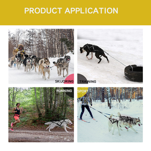 Arnés de diseño personalizado con marca premium Totalmente ajustable Basado en el diseño Canicross Arnés para perros Cinturón con correa elástica - Product Image 4