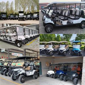 OEM 2 Seater <b>Foldable</b> Golf Car 48V Lithium Battery <b>Cart</b> High Range Offers up to 90km Range for Extended Use. Steel Frame Welded - Product Image 2