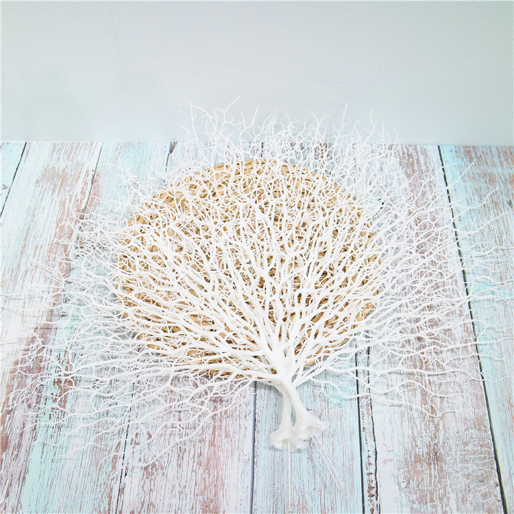 Single White Coral branches