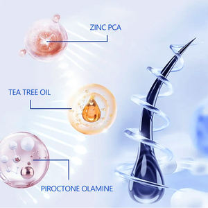 Shampooing professionnel anti-pelliculaire avec arbre à thé Oi apaiser les <span class=keywords><strong>démangeaisons</strong></span> réduire la flaccidité rafraîchir le shampooing de lavage des cheveux du <span class=keywords><strong>cuir</strong></span> <span class=keywords><strong>chevelu</strong></span> - Product Image 6