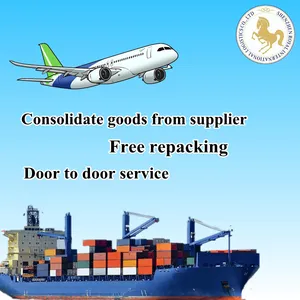 International air frieight forwarder door to door shipment cargo service DHL UPS TNT FEDEX cheap air shipping rates from China