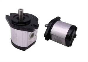 Nueva Bomba de Engranajes YL Original 2MM1B05-E 161114920 ALP2A-D-20-FG-MU PLP2014D08 - Product Image 2