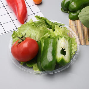 Assiette transparente <span class=keywords><strong>en</strong></span> vente chaude, logo personnalisé, <span class=keywords><strong>vaisselle</strong></span> <span class=keywords><strong>en</strong></span> <span class=keywords><strong>plastique</strong></span> <span class=keywords><strong>jetable</strong></span>, 240 mm, 9 pouces de diamètre, assiette à dîner <span class=keywords><strong>en</strong></span> PP - Product Image 3