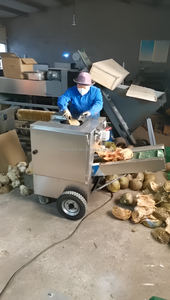 เครื่องตัดกะลามะพร้าวความเร็วสูง อุปกรณ์อุตสาหกรรมสำหรับการกะเทาะเปลือกและปอกเปลือก สำหรับการแยกเปลือกมะพร้าวและกำจัดกะลามะพร้าว - Product Image 4