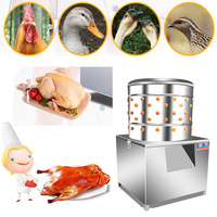 Plumeuse électrique de poulet bon marché, meilleure vente