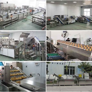2000-300KG/H Industrial Customized Coconut Bubble Washing <b>Machine</b> Coconut Meat Washer <b>Machine</b> for Coconut <b>Process</b> - Product Image 5