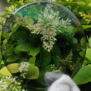 Ảnh Ống Kính Quang Học YOULI 1.56-Màu Xám - Product Image 5