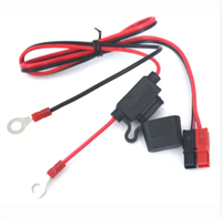 Kunden spezifische Over mould Micro Fuse Tap Doppel drähte mit 1015 14awg in Line Mini Sicherungs halter zum Anschließen einer Wegfahr sperre