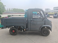Nueva Camioneta Eléctrica Pequeña Euro 2 4x2 con Capacidad de Carga de 1-10t para Adultos - Gran Venta en China
